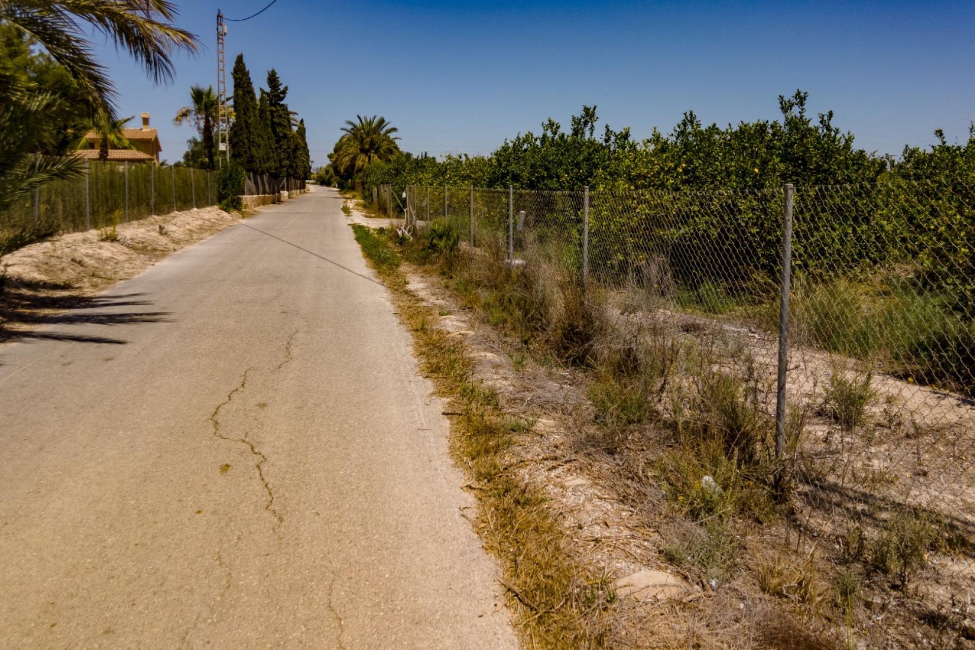 Reventa - Parcela / Terreno - Elche Pedanías - Las Bayas