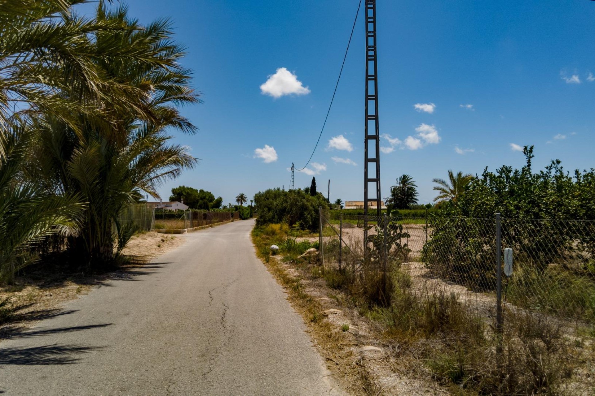 Reventa - Parcela / Terreno - Elche Pedanías - Las Bayas