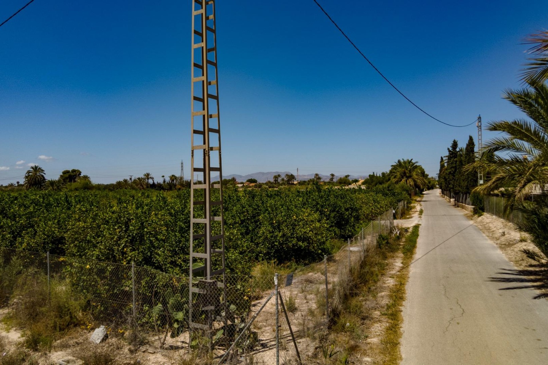 Reventa - Parcela / Terreno - Elche Pedanías - Las Bayas