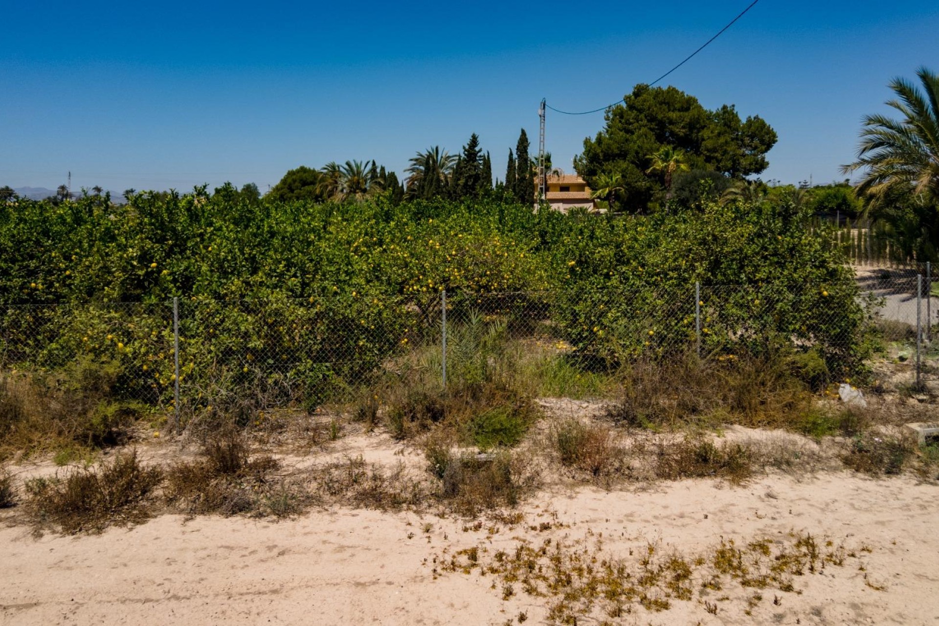 Reventa - Parcela / Terreno - Elche Pedanías - Las Bayas