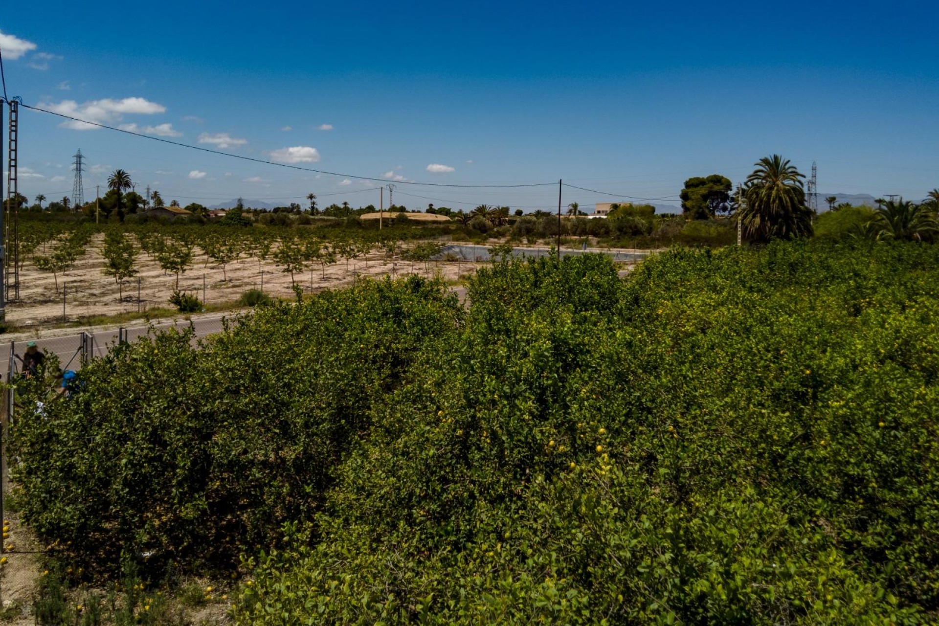 Reventa - Parcela / Terreno - Elche Pedanías - Las Bayas