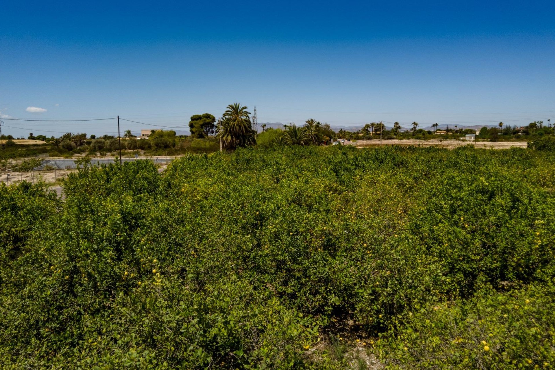 Reventa - Parcela / Terreno - Elche Pedanías - Las Bayas