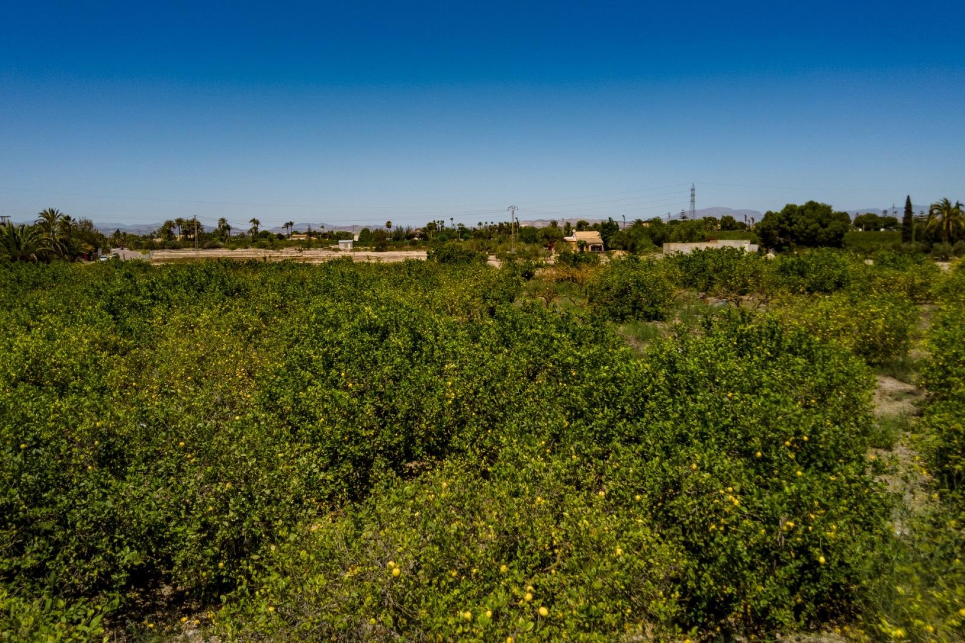 Reventa - Parcela / Terreno - Elche Pedanías - Las Bayas