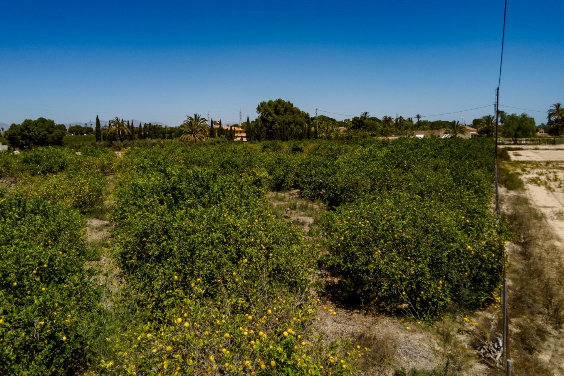 Reventa - Parcela / Terreno - Elche Pedanías - Las Bayas