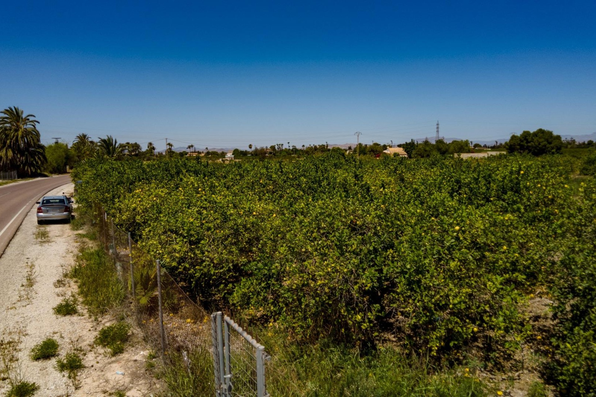 Reventa - Parcela / Terreno - Elche Pedanías - Las Bayas