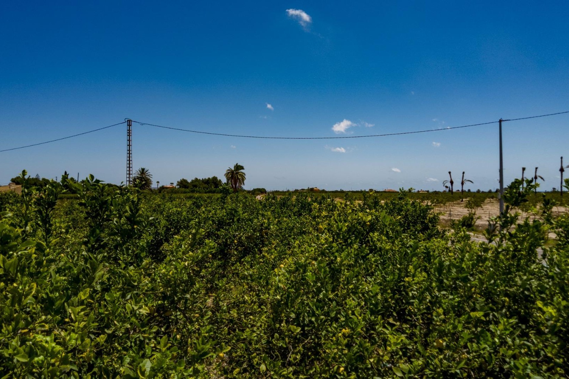 Reventa - Parcela / Terreno - Elche Pedanías - Las Bayas