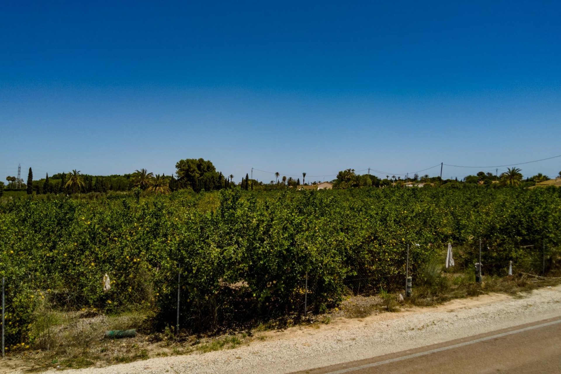 Reventa - Parcela / Terreno - Elche Pedanías - Las Bayas