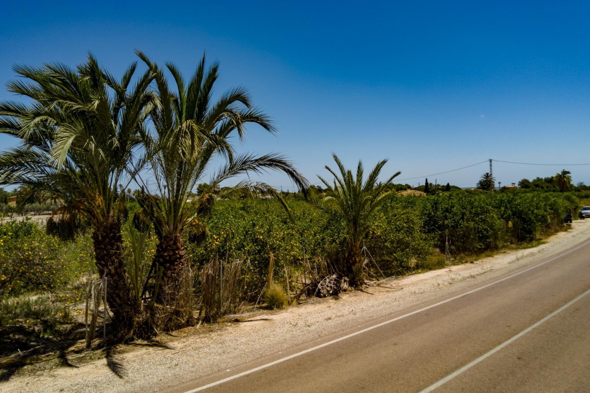 Reventa - Parcela / Terreno - Elche Pedanías - Las Bayas