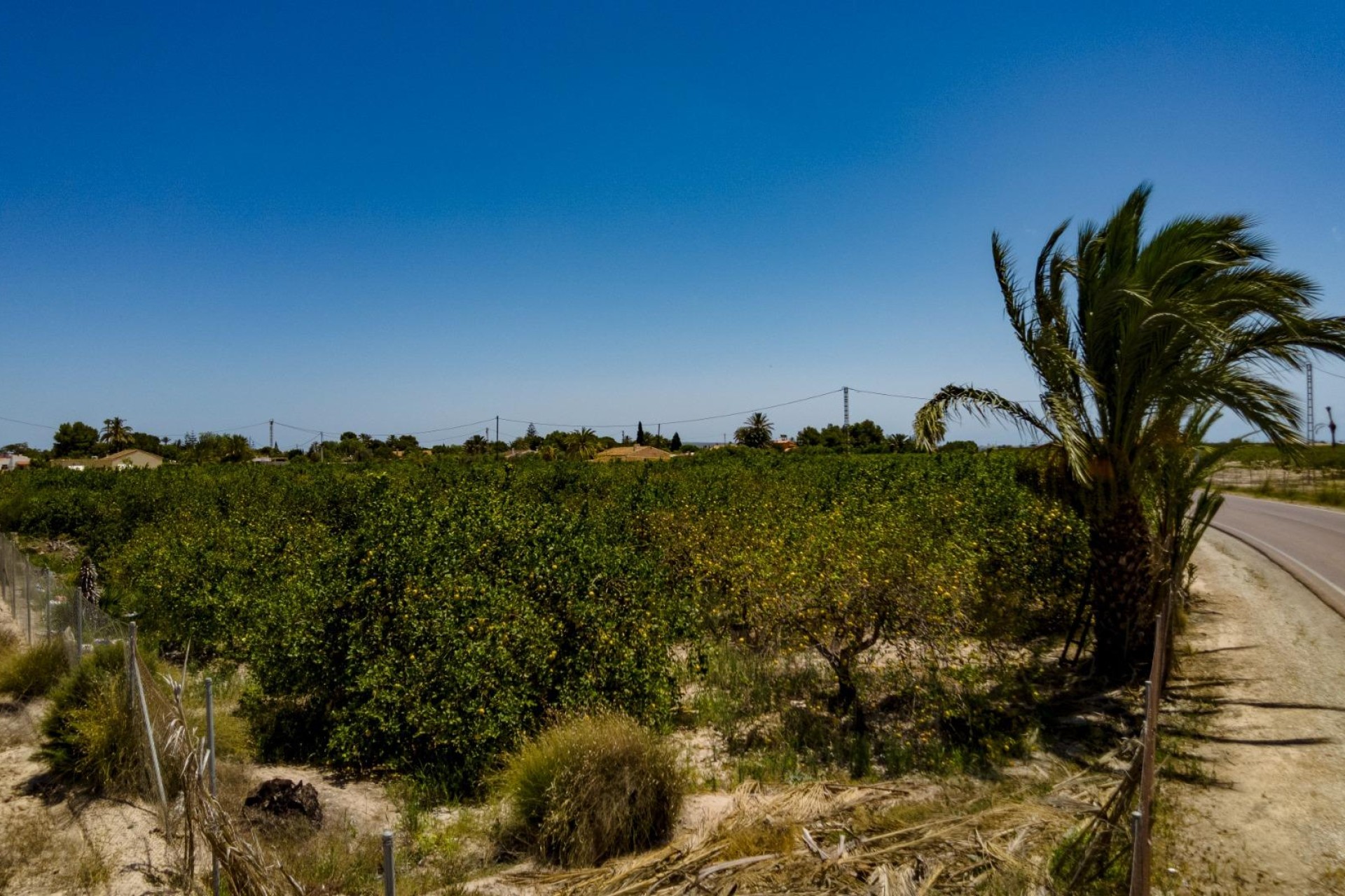 Reventa - Parcela / Terreno - Elche Pedanías - Las Bayas