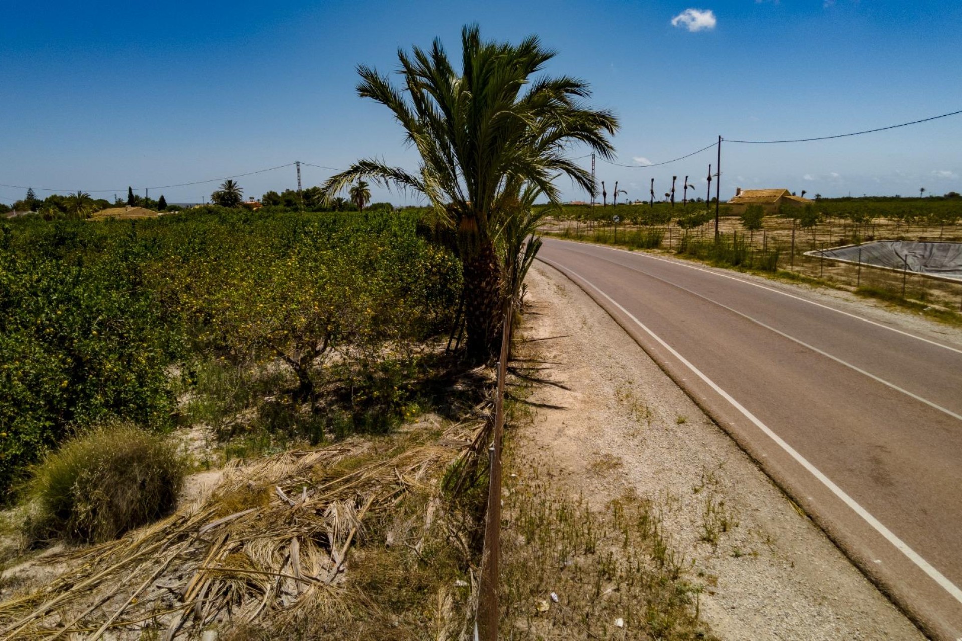 Reventa - Parcela / Terreno - Elche Pedanías - Las Bayas