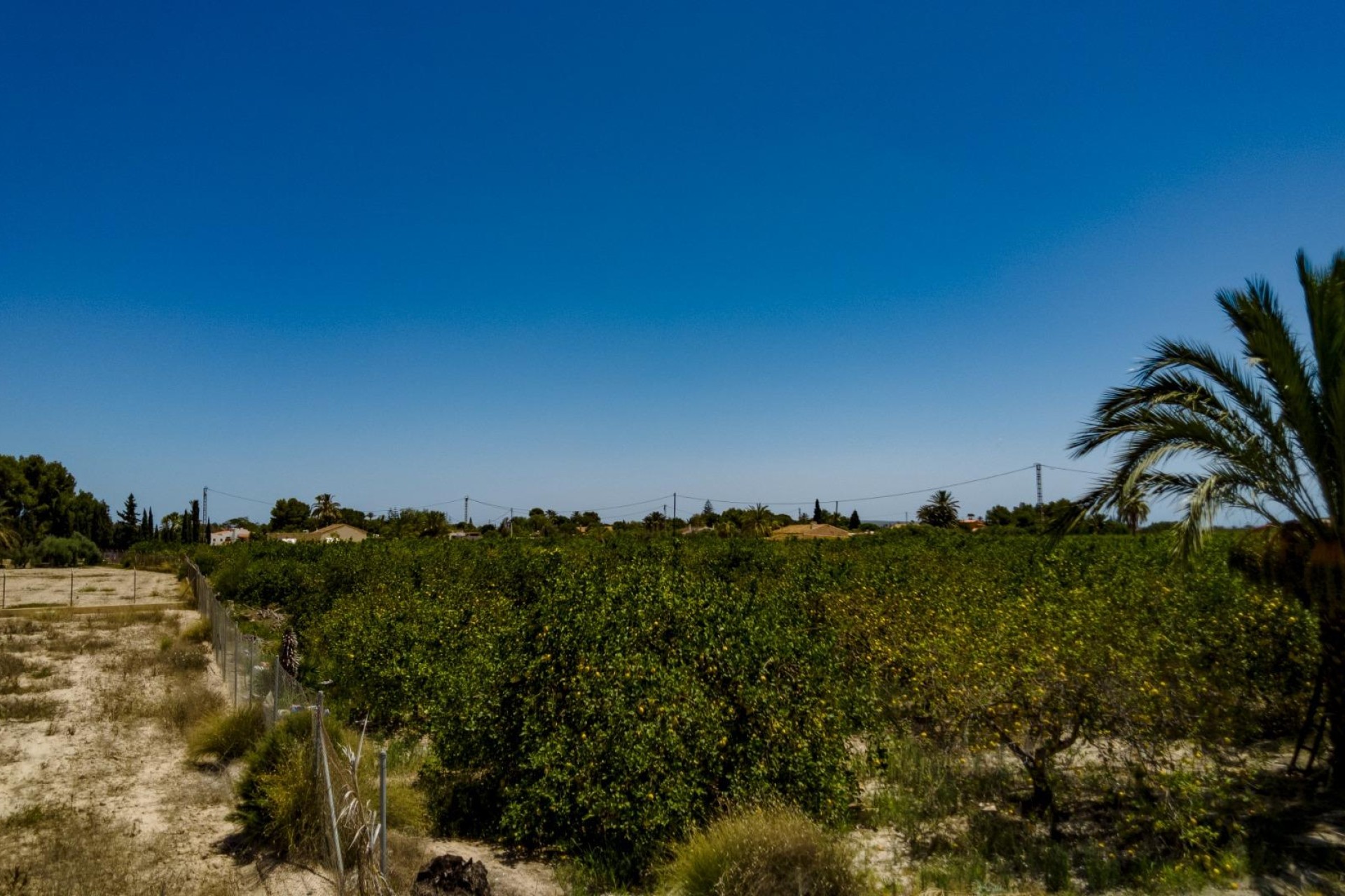 Reventa - Parcela / Terreno - Elche Pedanías - Las Bayas