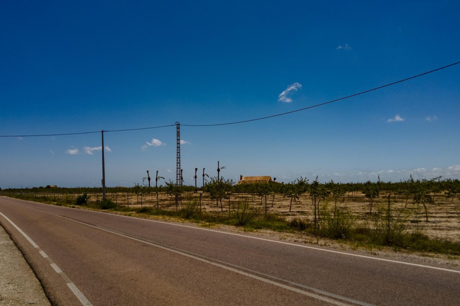 Reventa - Parcela / Terreno - Elche Pedanías - Las Bayas