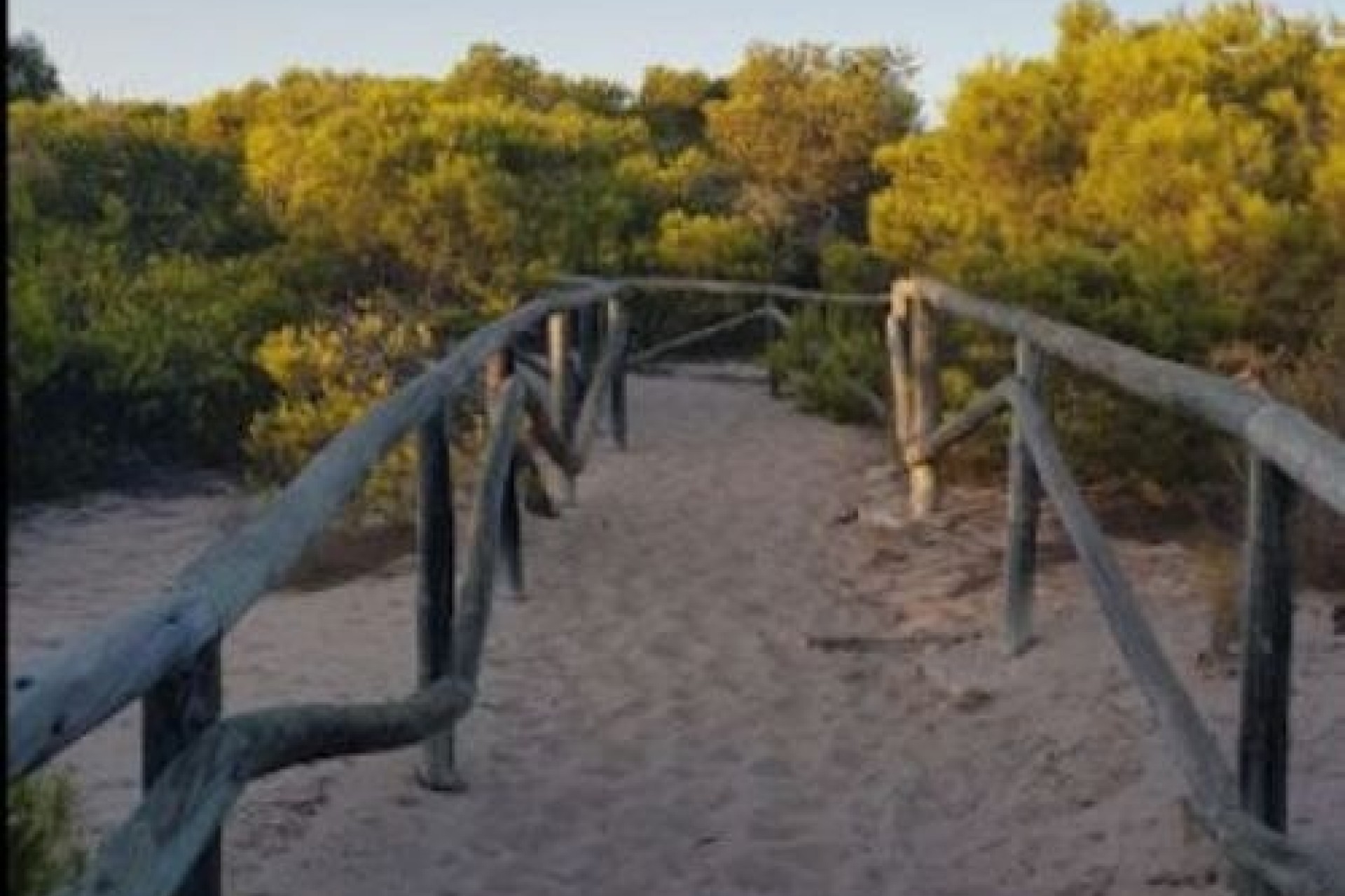 Reventa - Parcela / Terreno - Elche