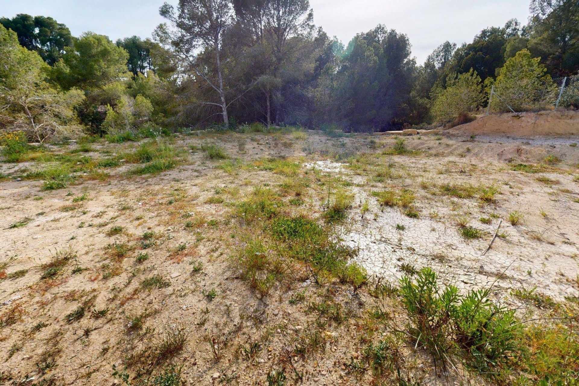 Reventa - Parcela / Terreno - l'Alfas del Pi - Alfaz del Pi