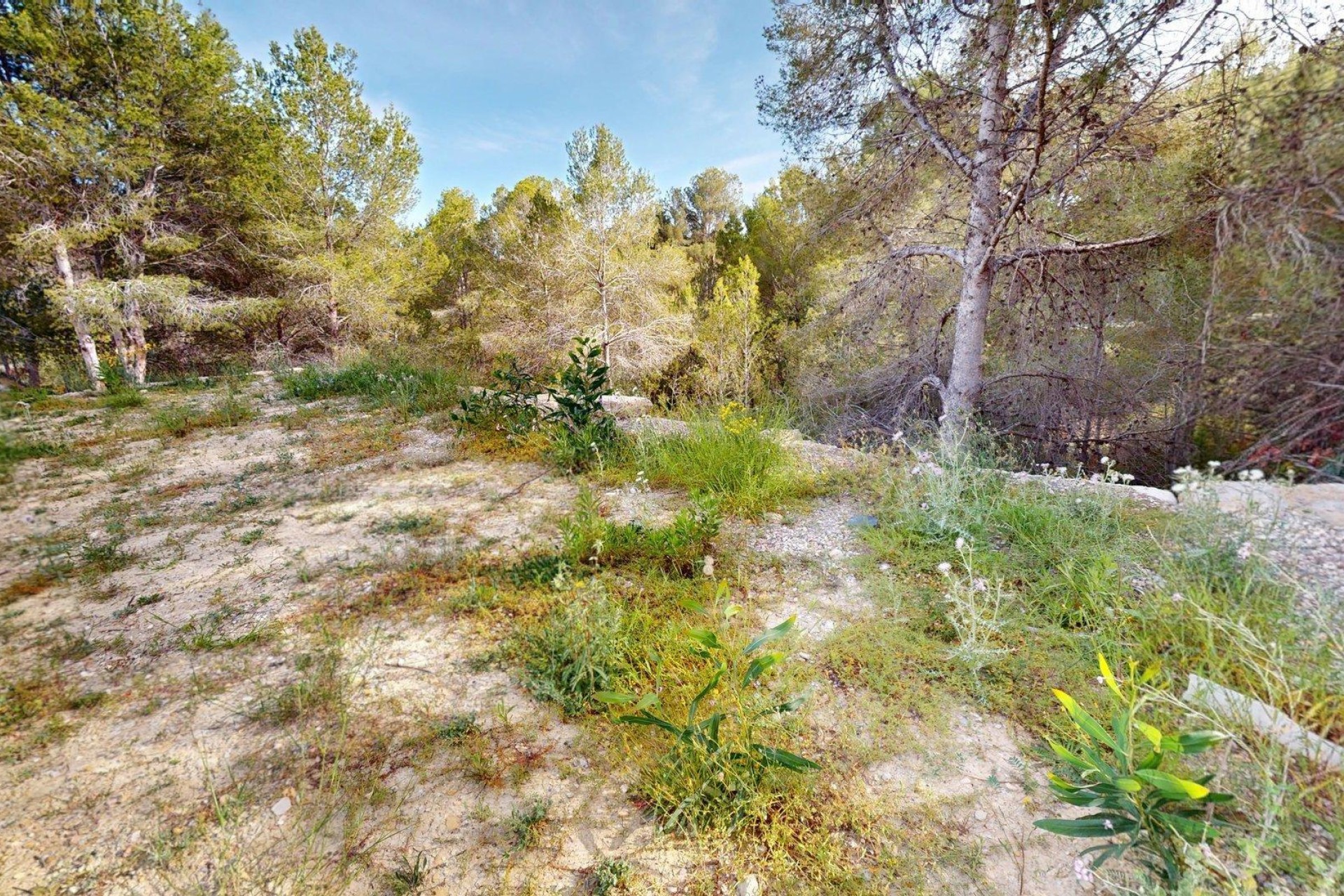 Reventa - Parcela / Terreno - l'Alfas del Pi - Alfaz del Pi