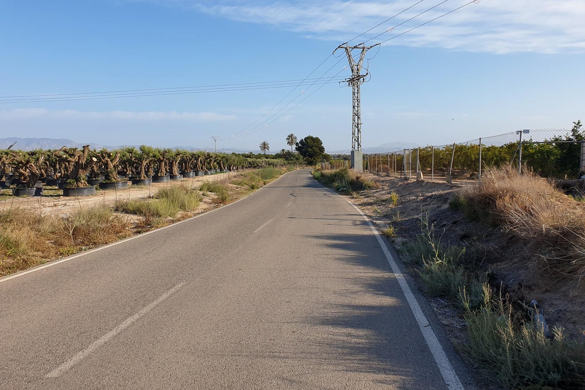 Reventa - Parcela / Terreno - La marina - Molar