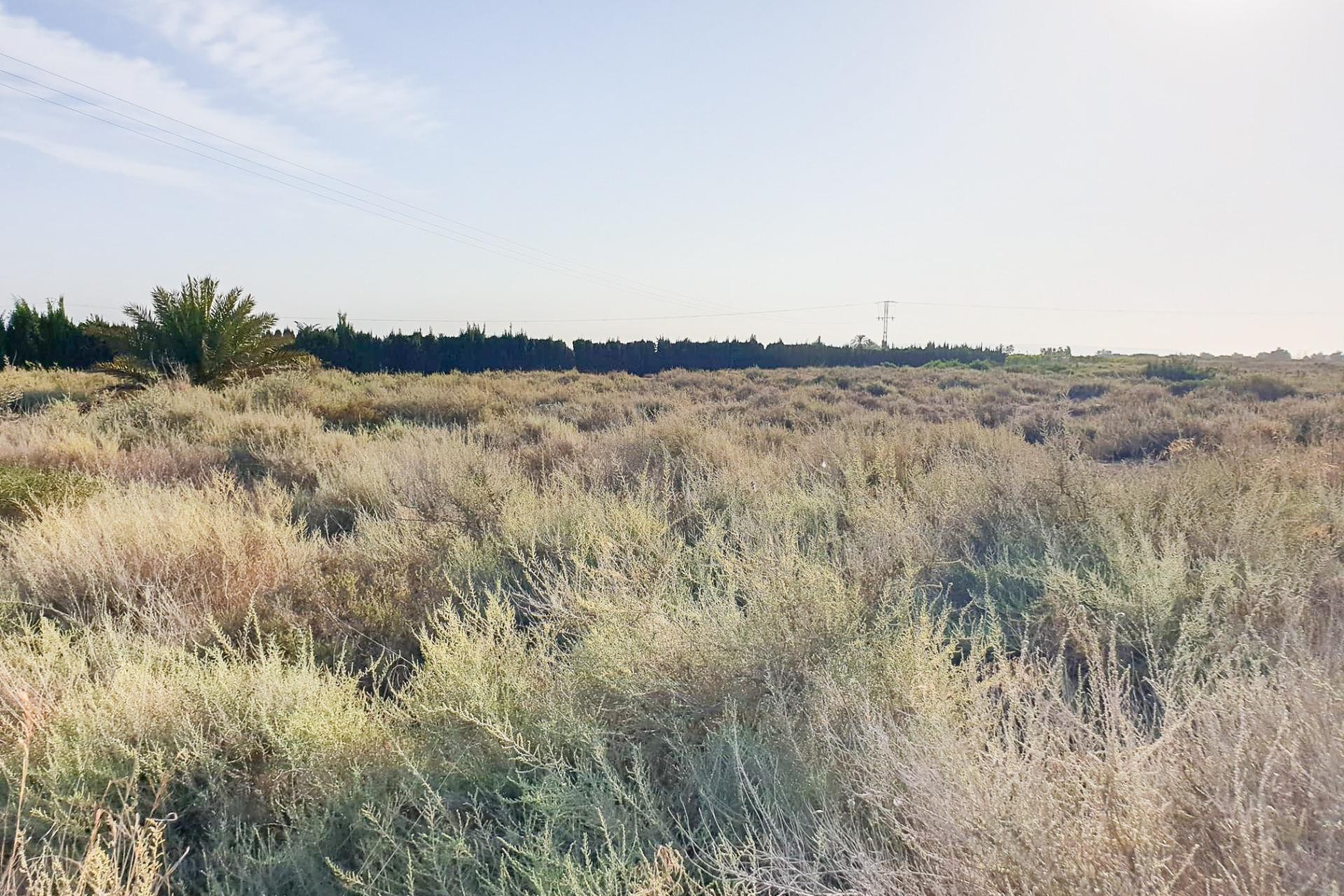 Reventa - Parcela / Terreno - La marina - Molar