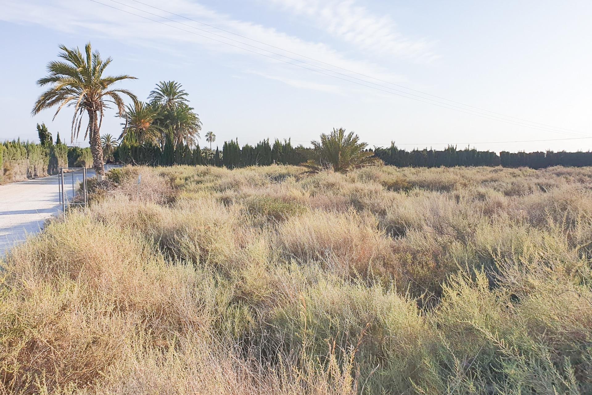 Reventa - Parcela / Terreno - La marina - Molar