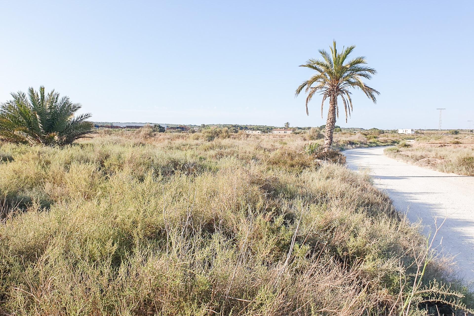 Reventa - Parcela / Terreno - La marina - Molar