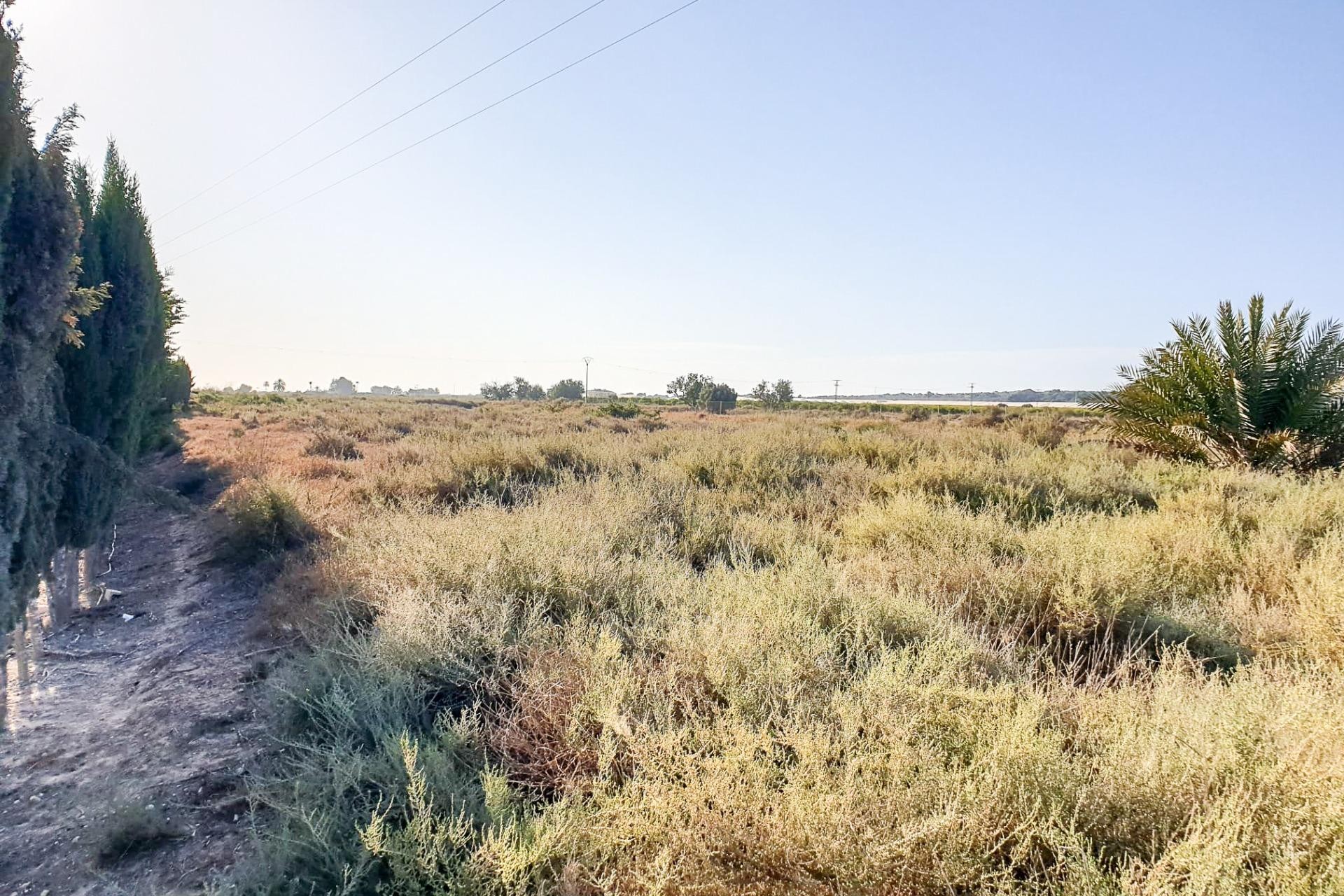 Reventa - Parcela / Terreno - La marina - Molar