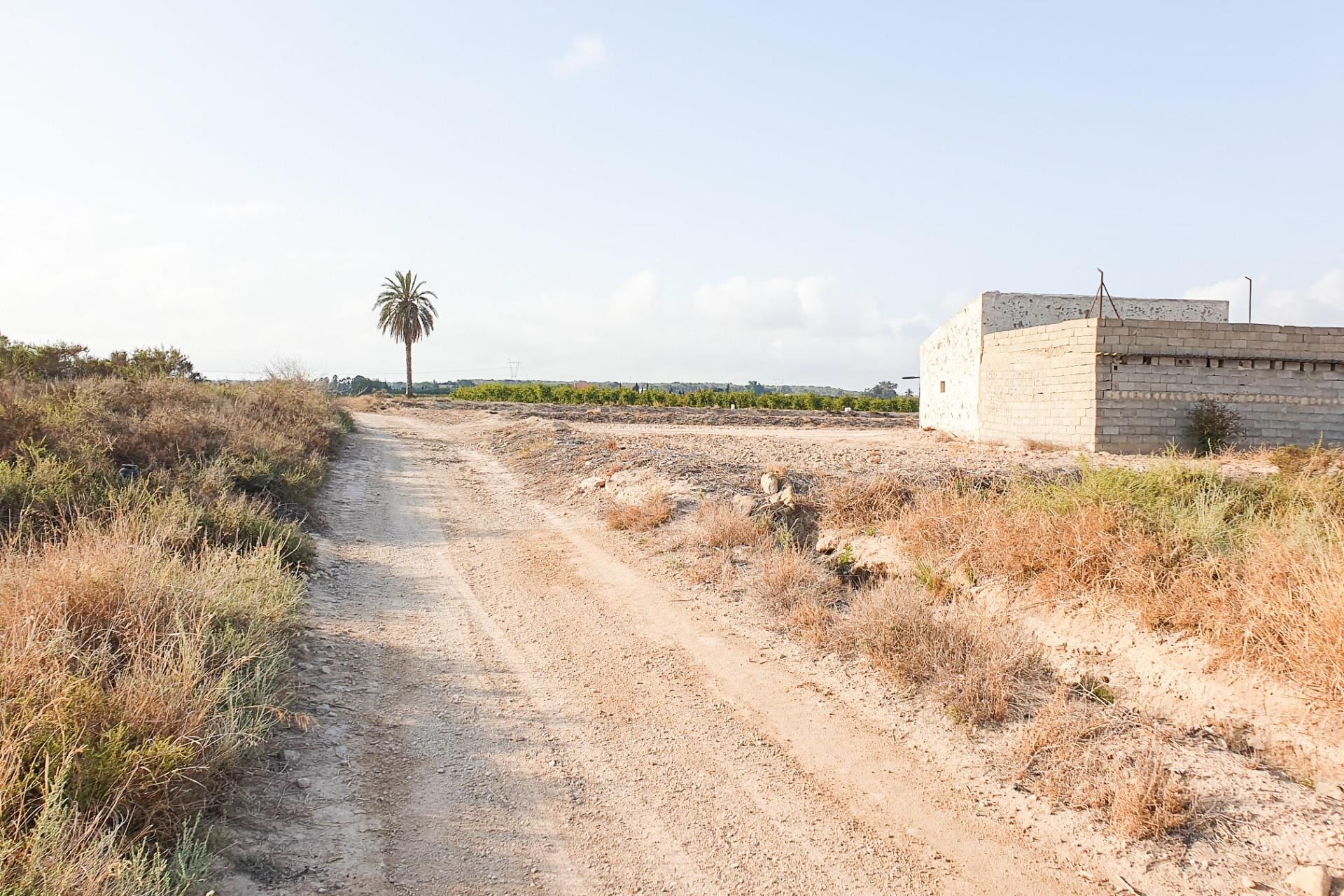 Reventa - Parcela / Terreno - La marina - Molar