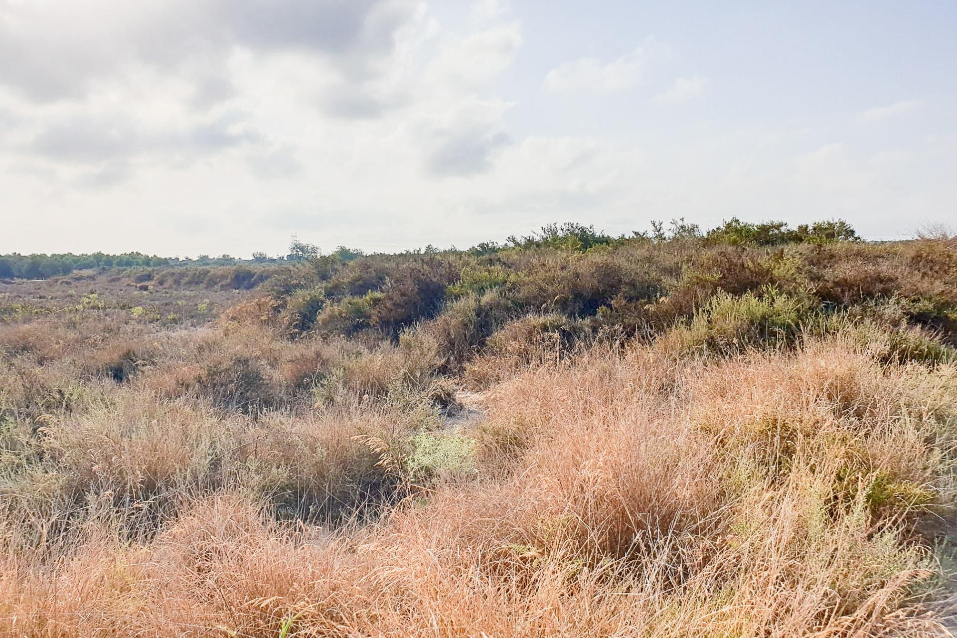 Reventa - Parcela / Terreno - La marina - Molar