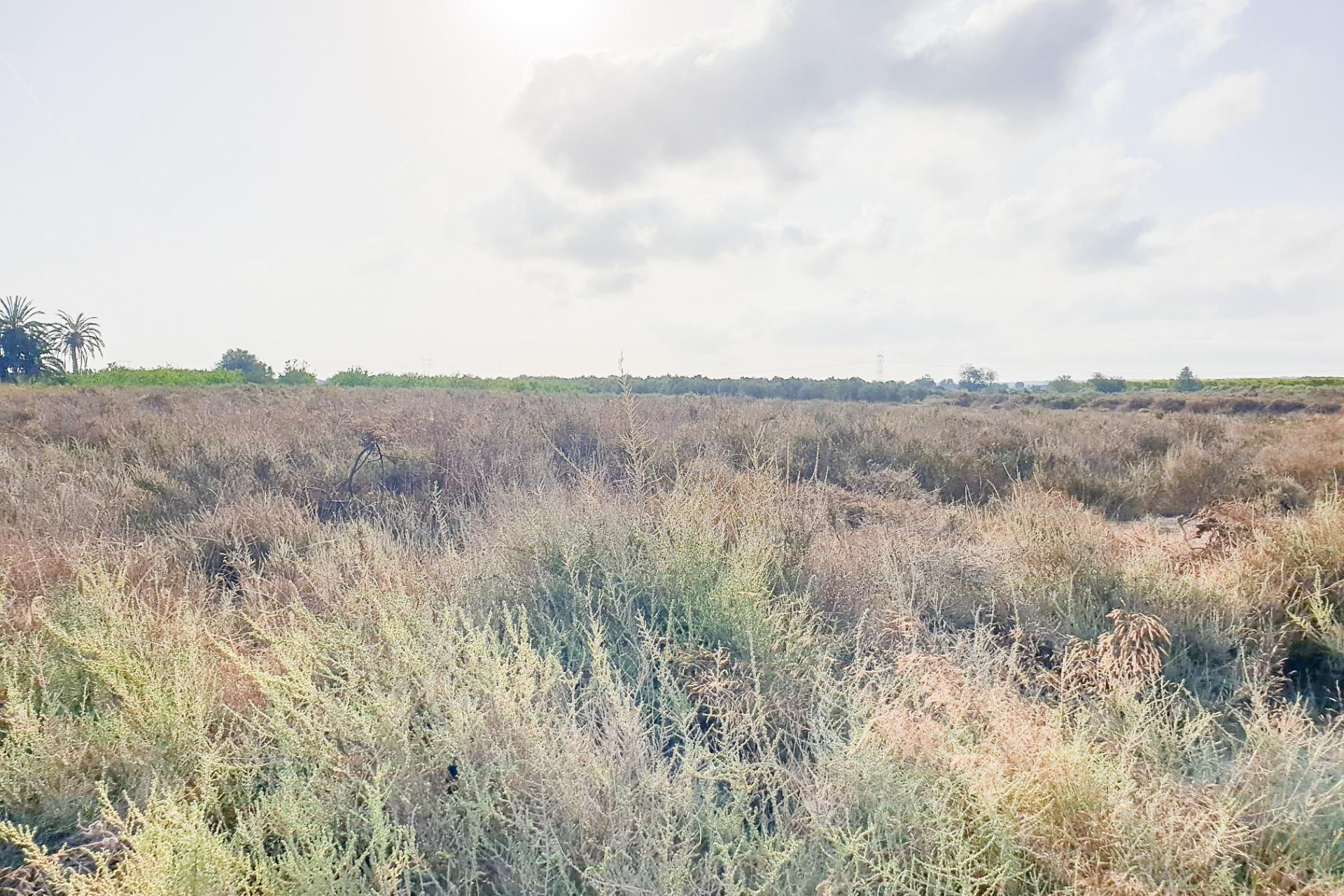 Reventa - Parcela / Terreno - La marina - Molar