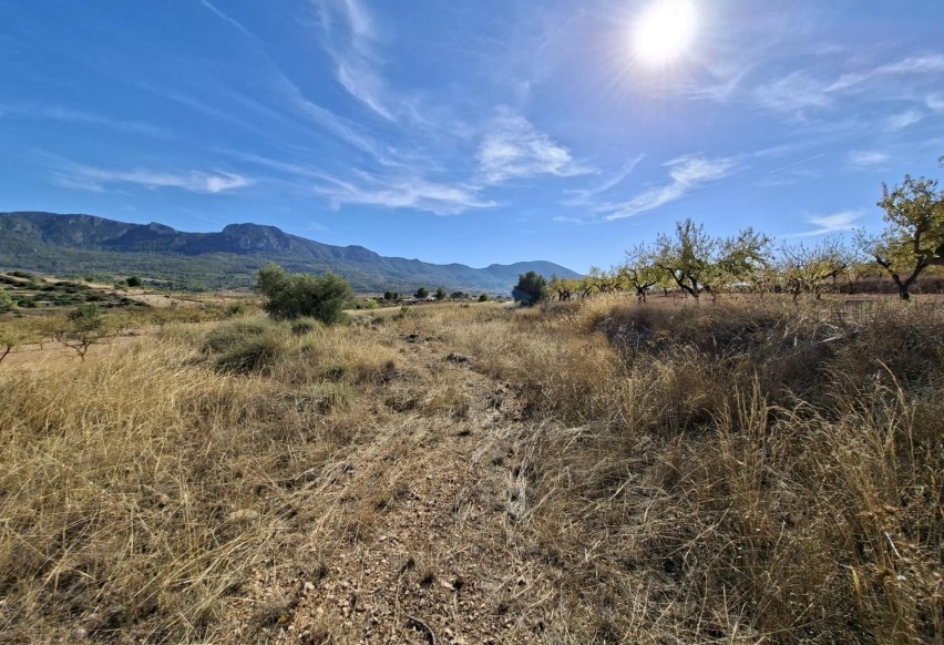 Reventa - Parcela / Terreno - La Romana