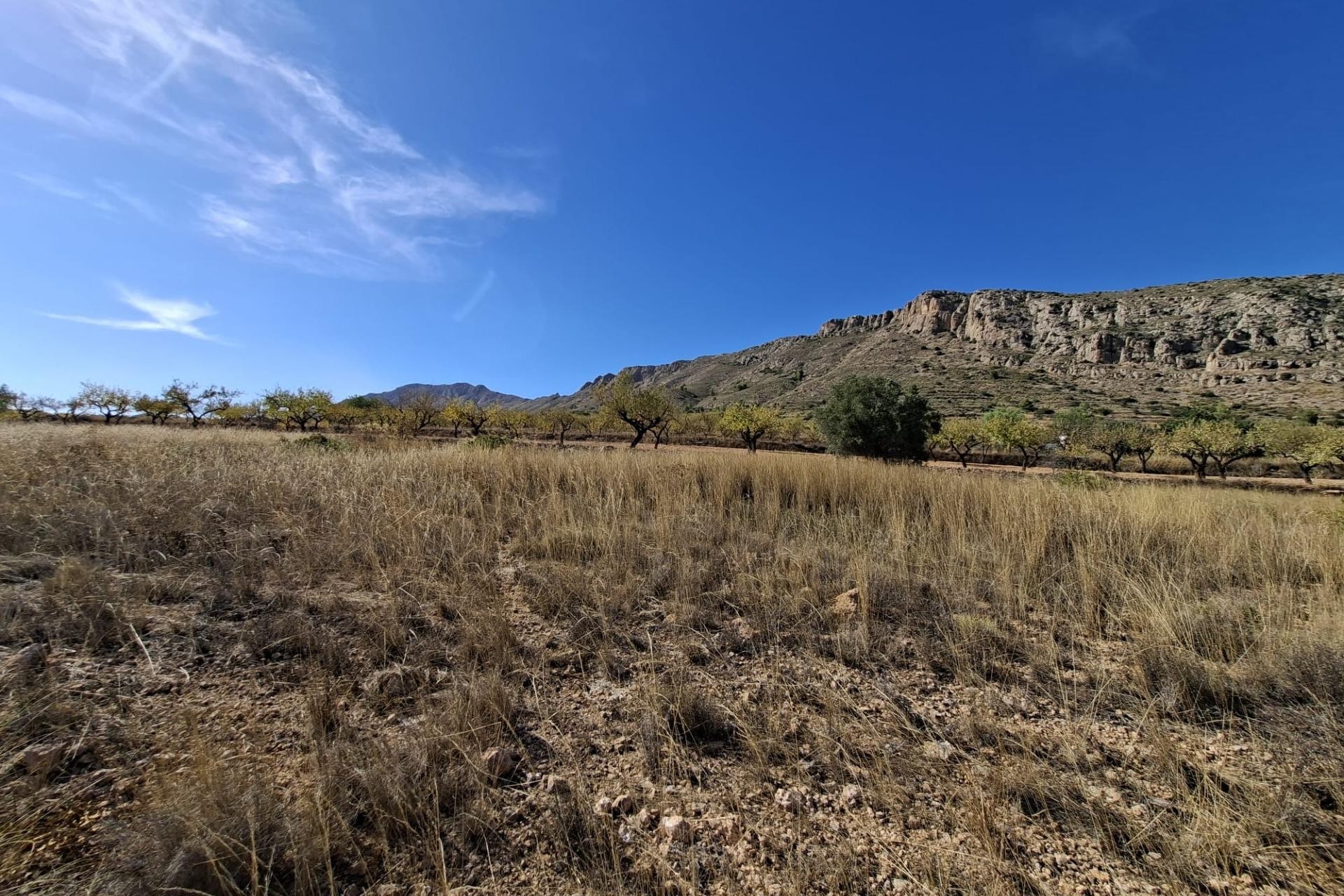 Reventa - Parcela / Terreno - La Romana