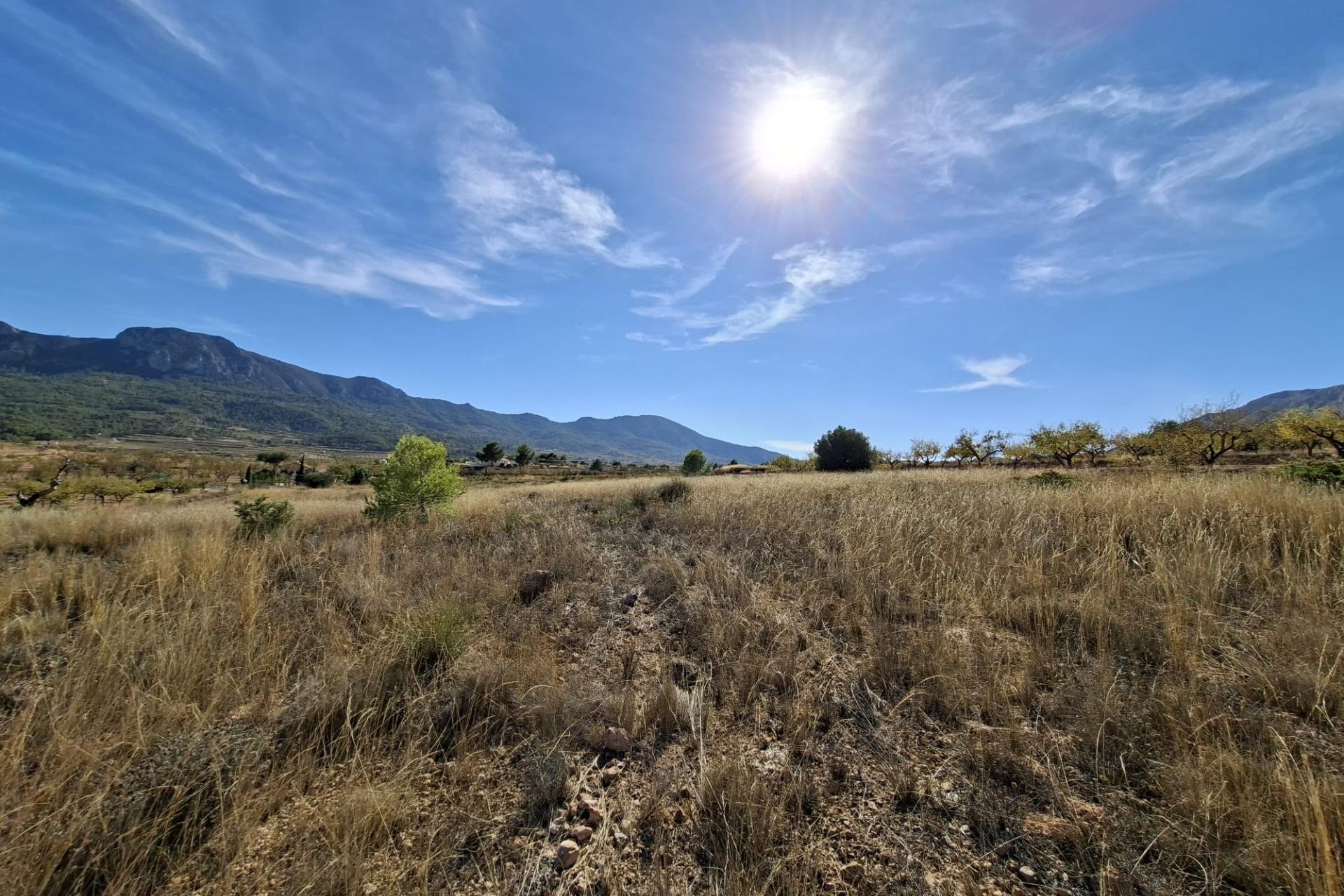 Reventa - Parcela / Terreno - La Romana