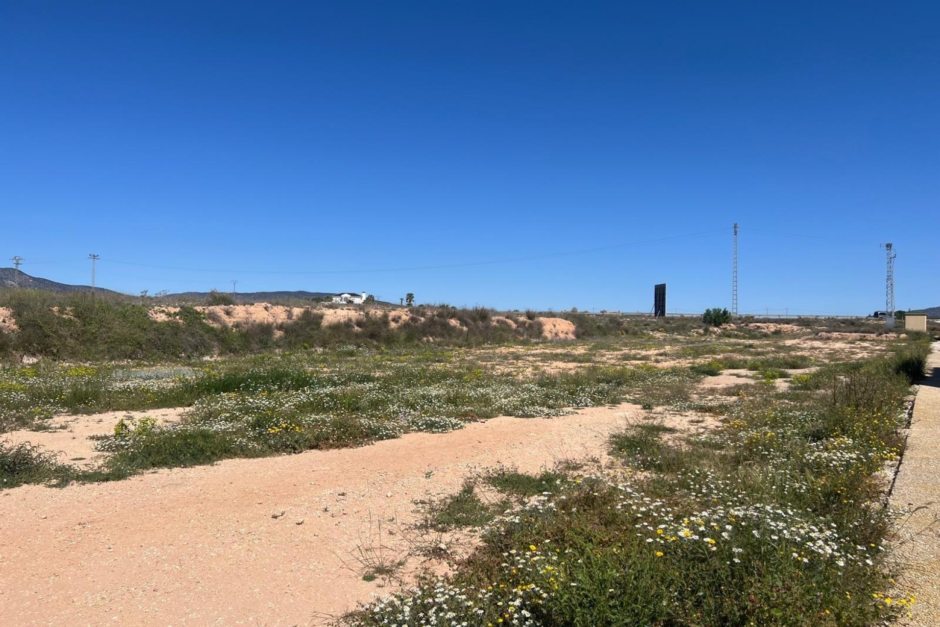 Reventa - Parcela / Terreno - Pinoso - A 1 km de pinoso