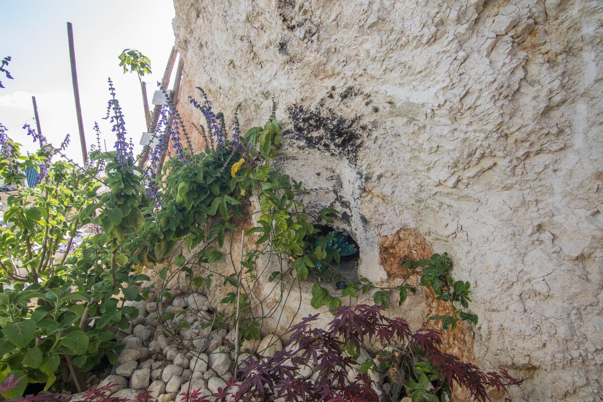 Reventa - Parcela / Terreno - Pinoso - CULEBRON
