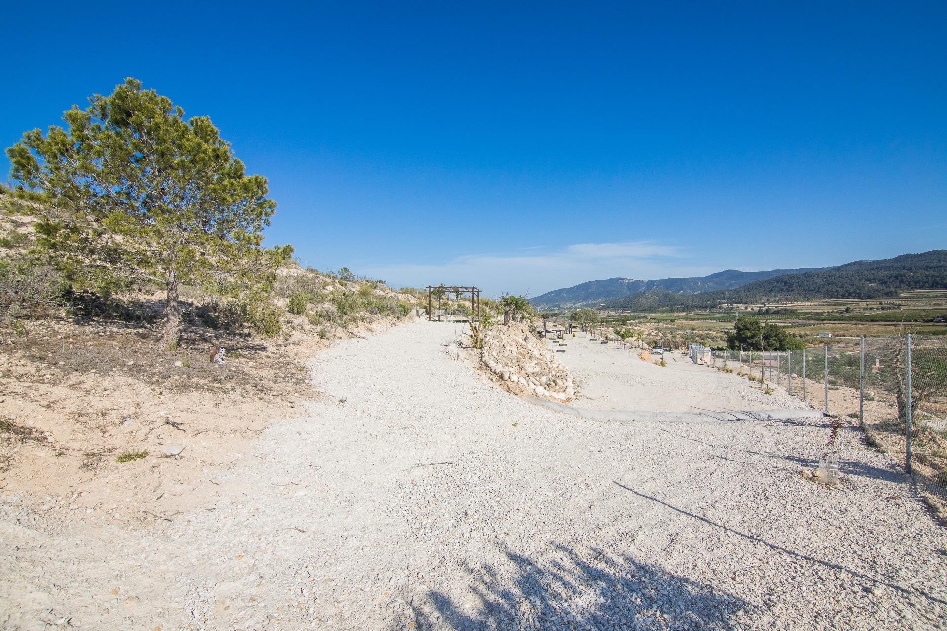 Reventa - Parcela / Terreno - Pinoso - CULEBRON