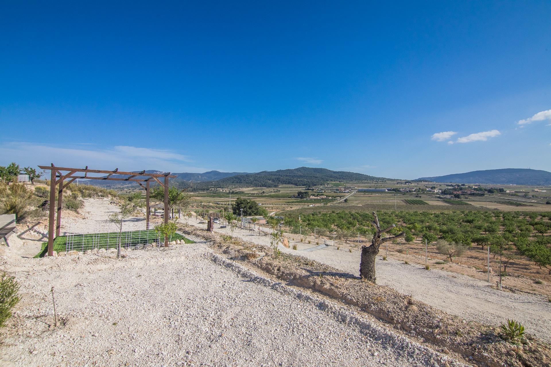 Reventa - Parcela / Terreno - Pinoso - CULEBRON