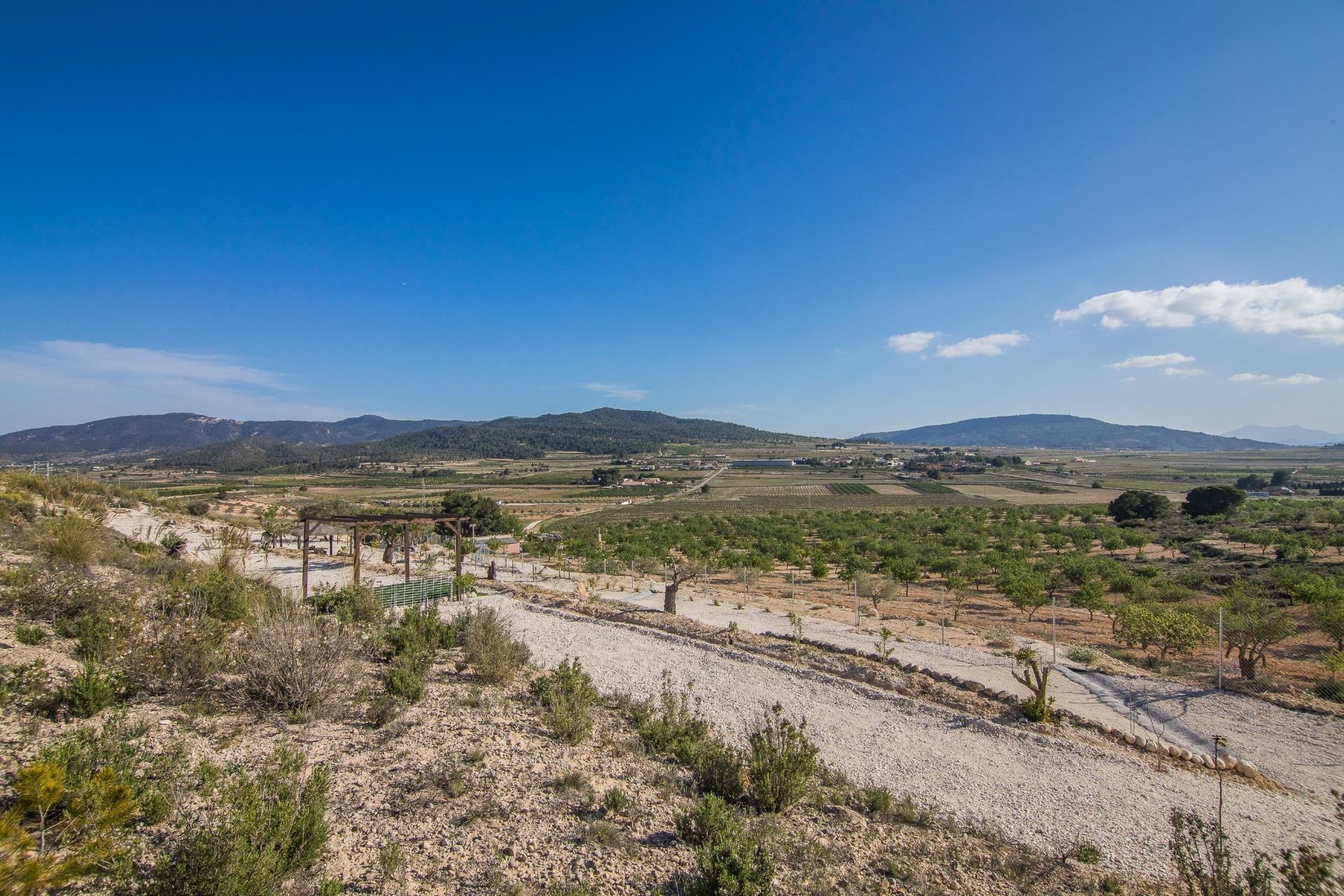 Reventa - Parcela / Terreno - Pinoso - CULEBRON