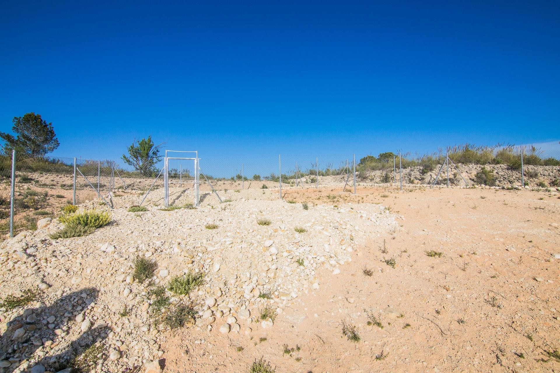Reventa - Parcela / Terreno - Pinoso - CULEBRON