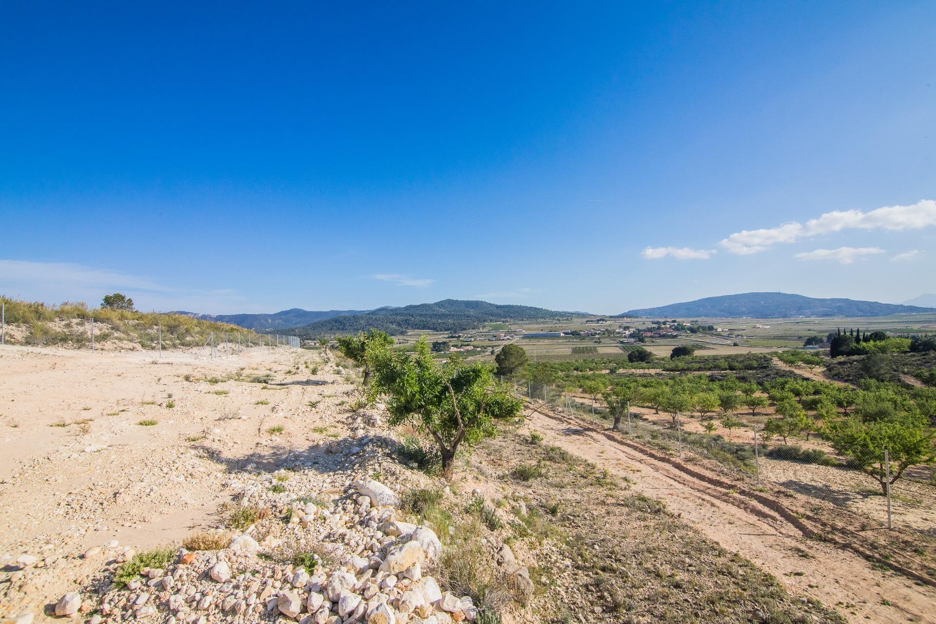 Reventa - Parcela / Terreno - Pinoso - CULEBRON