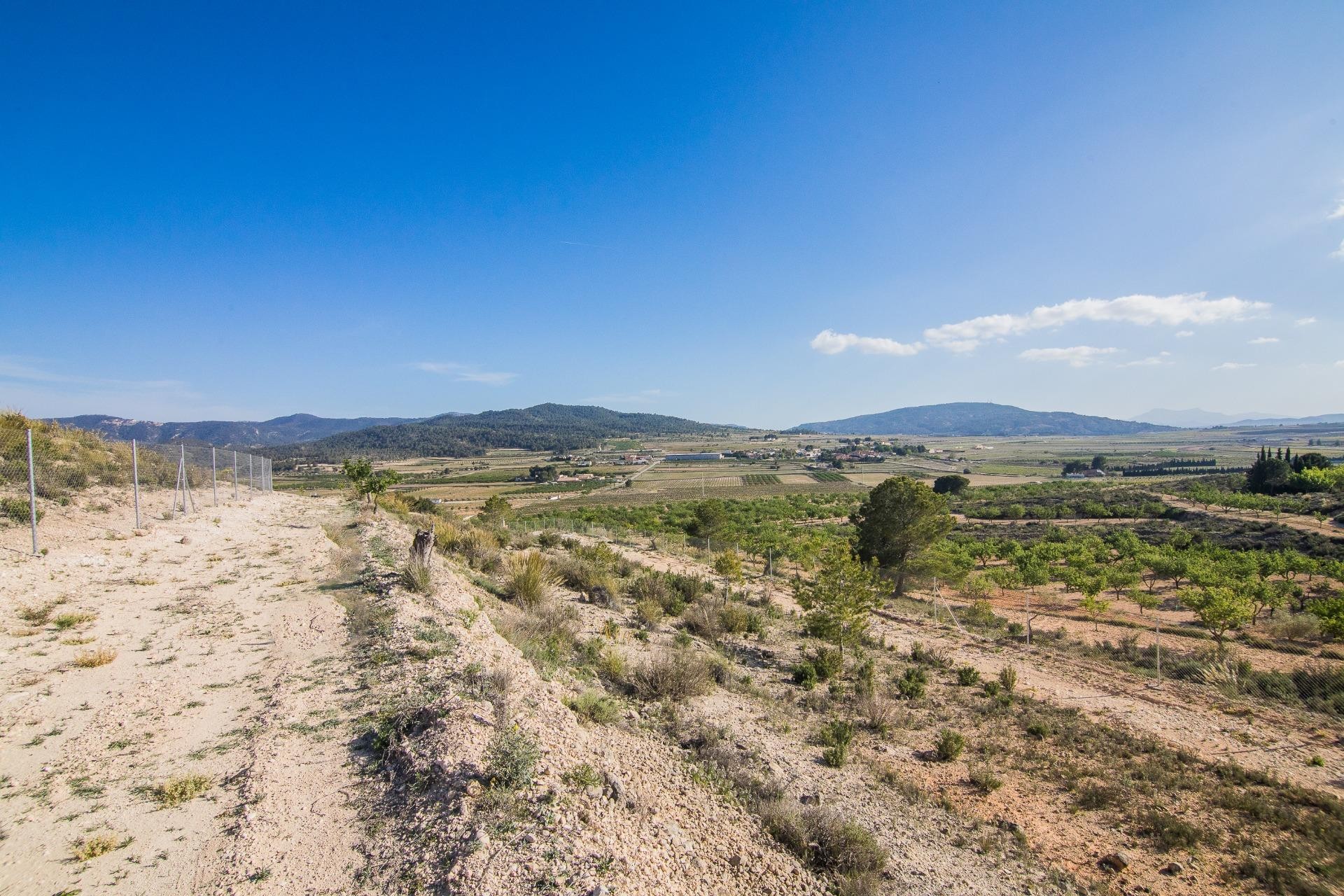 Reventa - Parcela / Terreno - Pinoso - CULEBRON