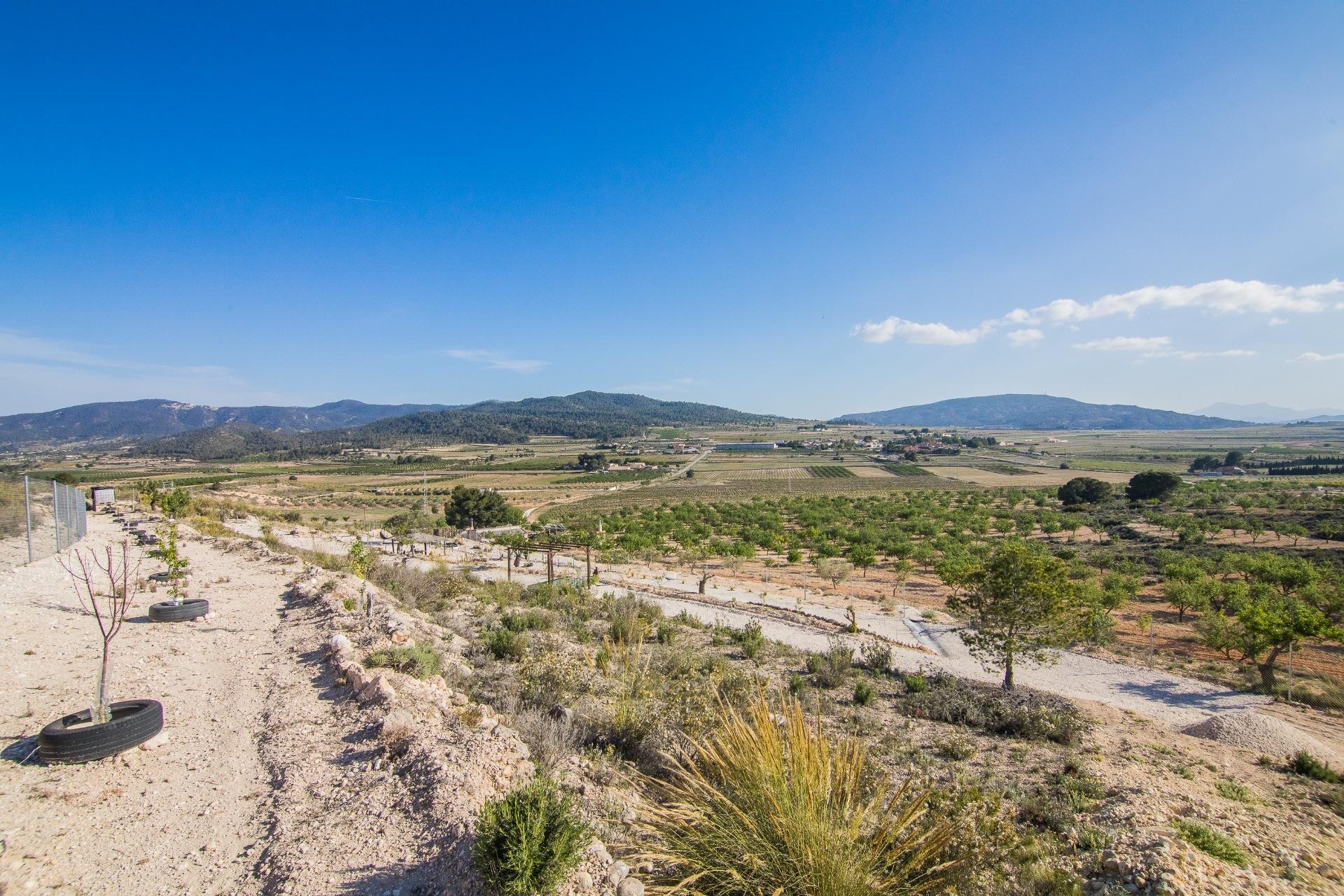 Reventa - Parcela / Terreno - Pinoso - CULEBRON