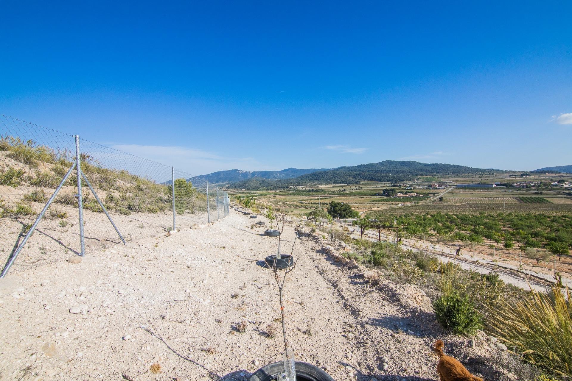 Reventa - Parcela / Terreno - Pinoso - CULEBRON