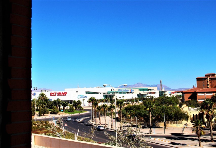 Reventa - Plot - Alicante - Babel