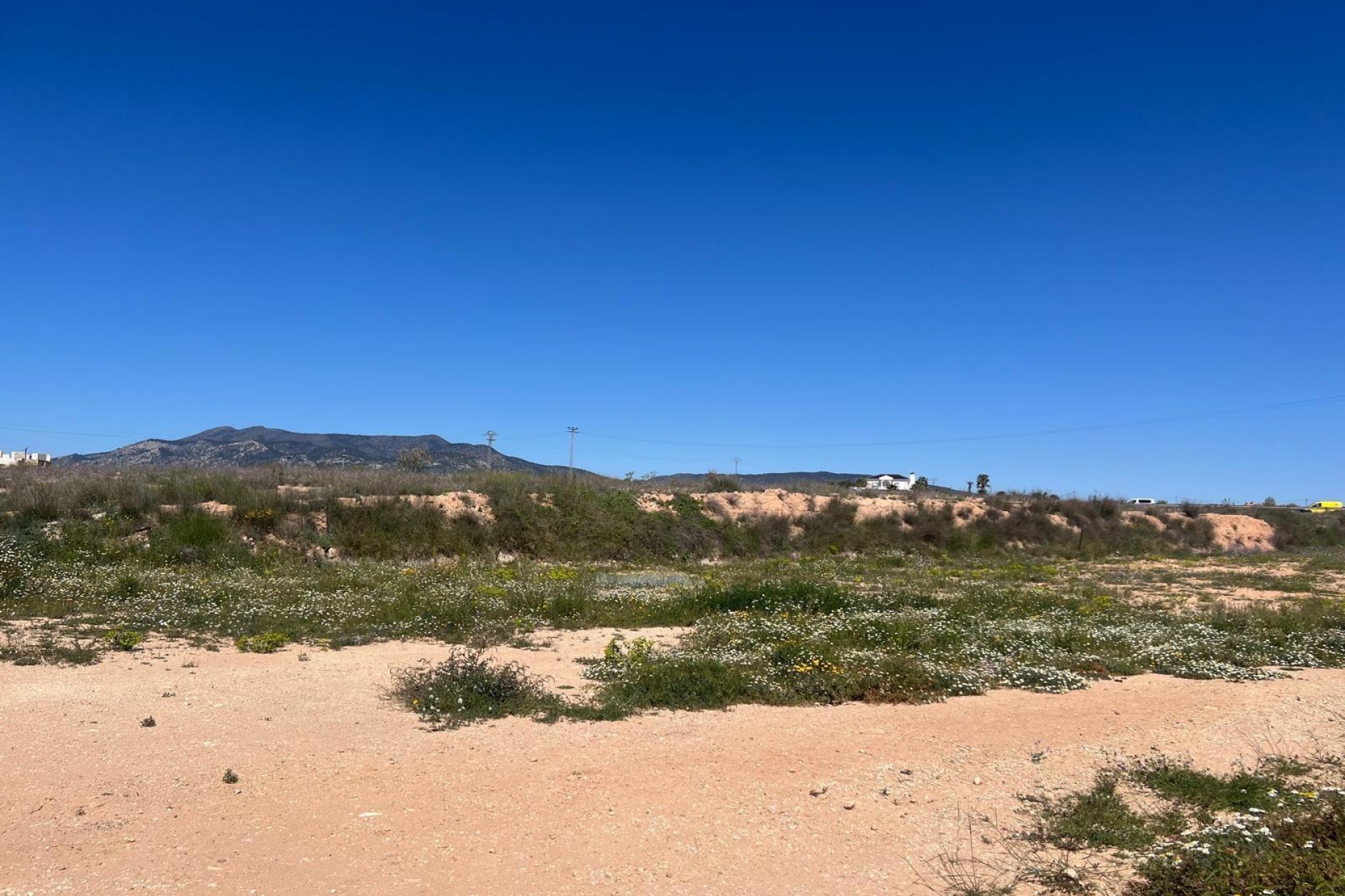Reventa - Plot - Pinoso - A 1 km de pinoso