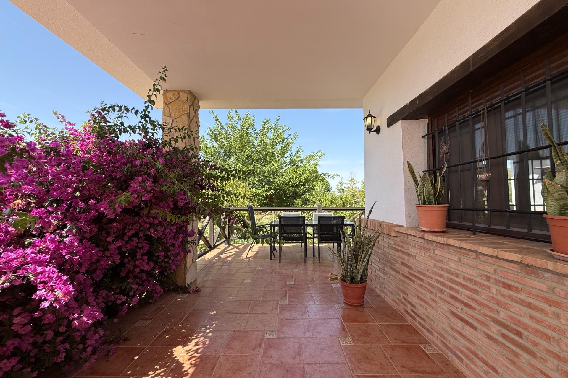Reventa - Villa - Agost - campo