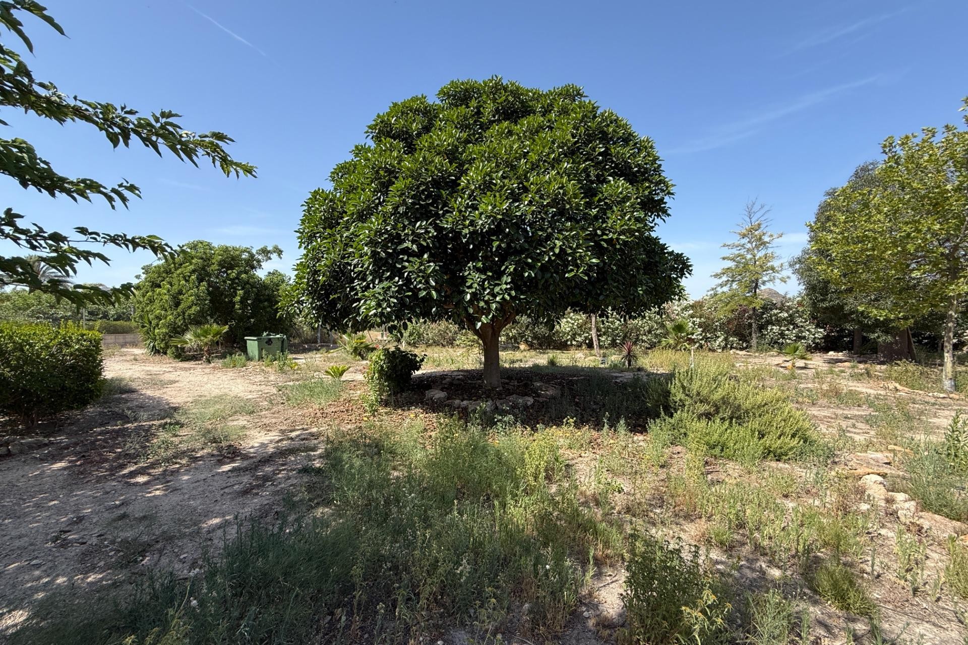 Reventa - Villa - Agost - campo