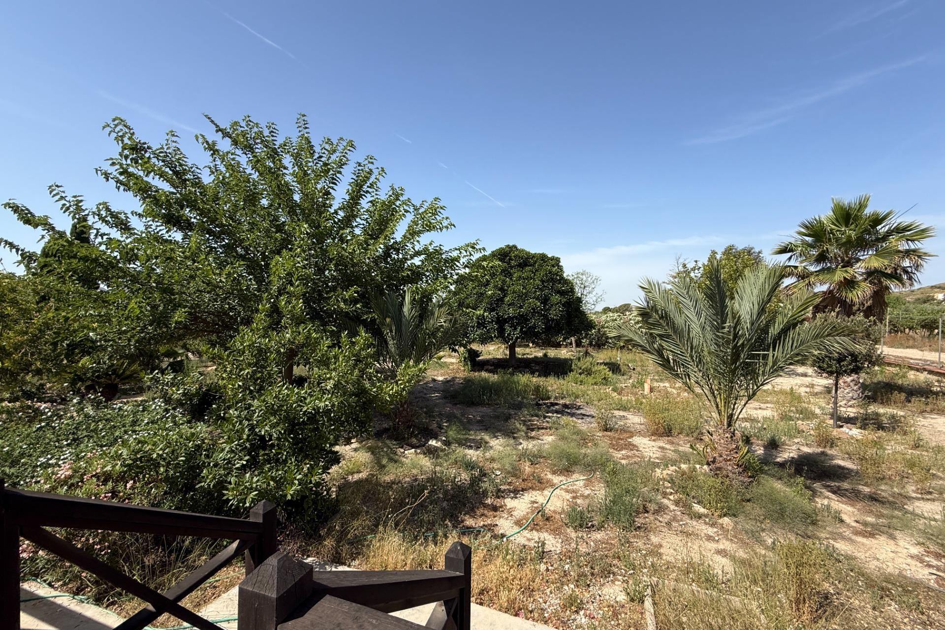 Reventa - Villa - Agost - campo