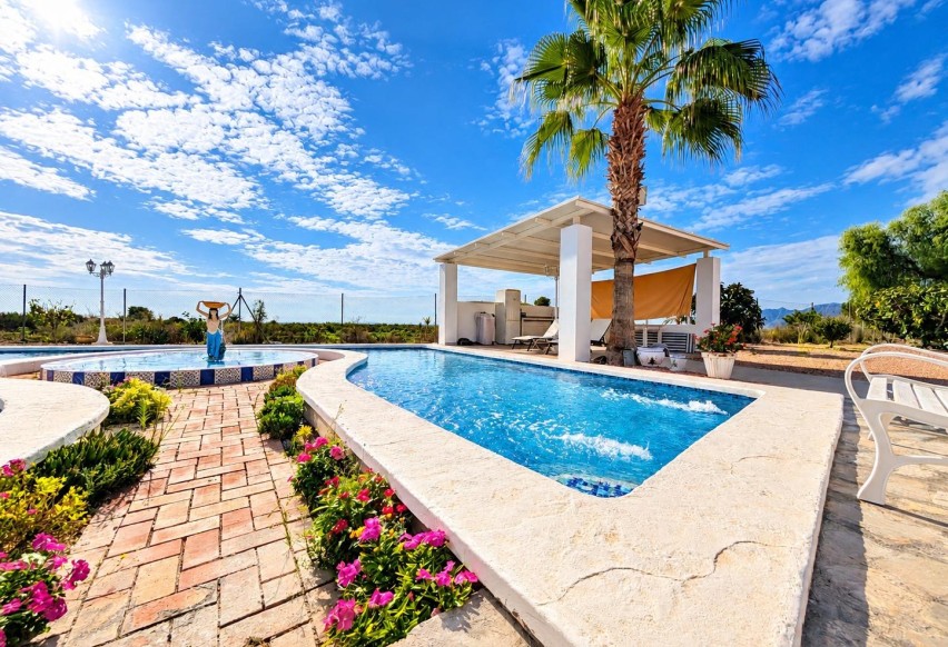 Reventa - Villa - Albatera - Partida del moco