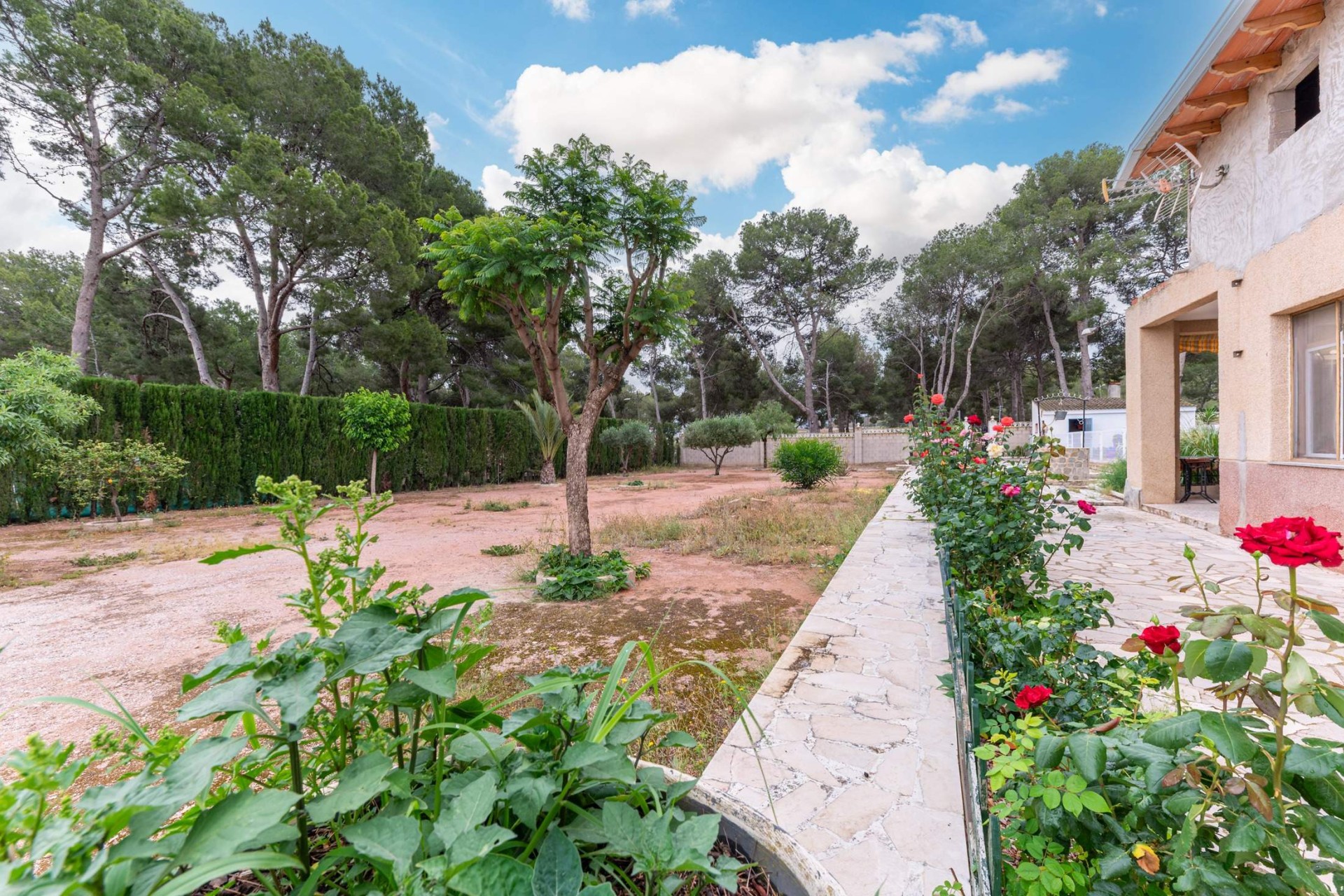 Reventa - Villa - Aspe - Ctra de hondon de las nieves