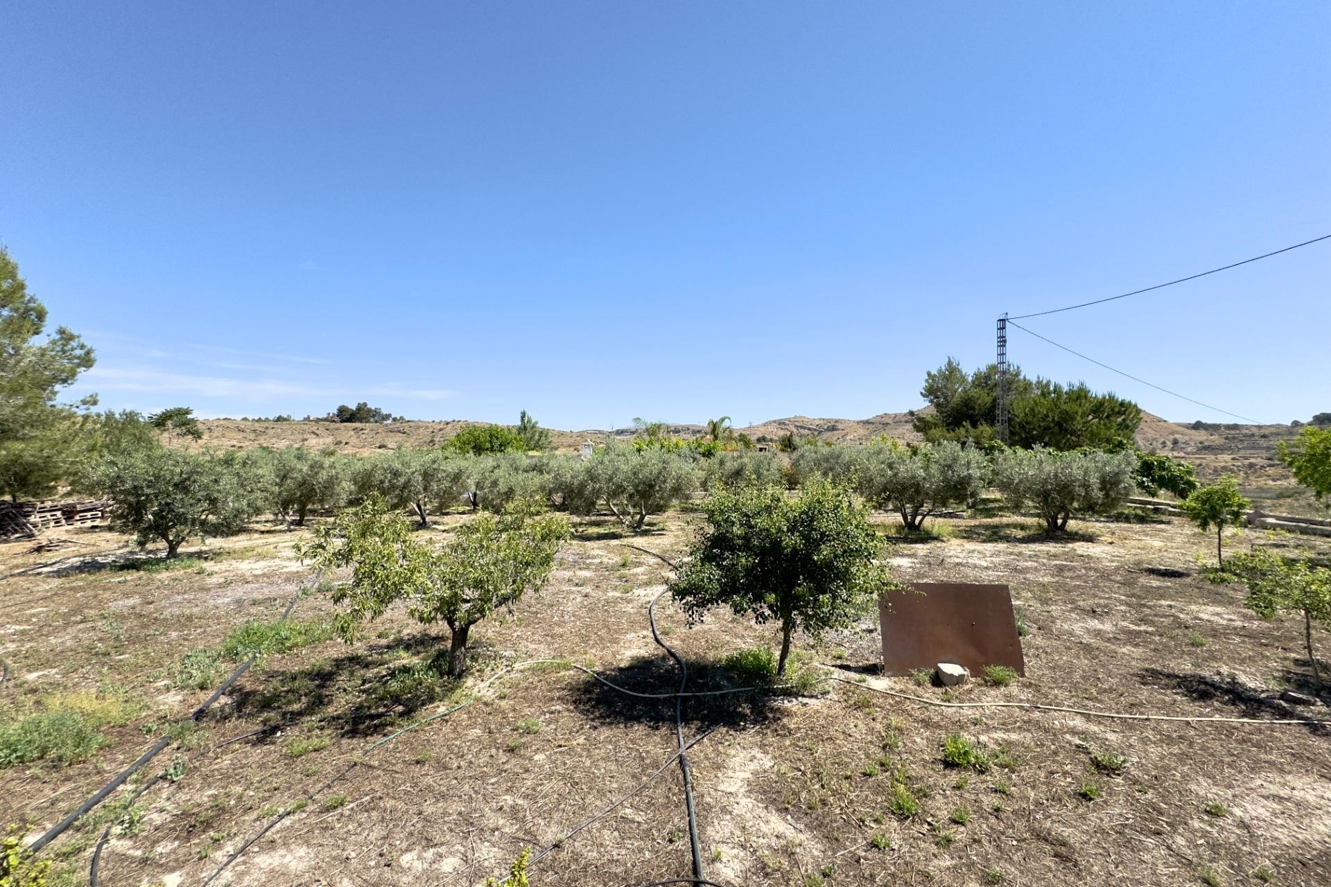 Reventa - Villa - Aspe - Pedanías Este