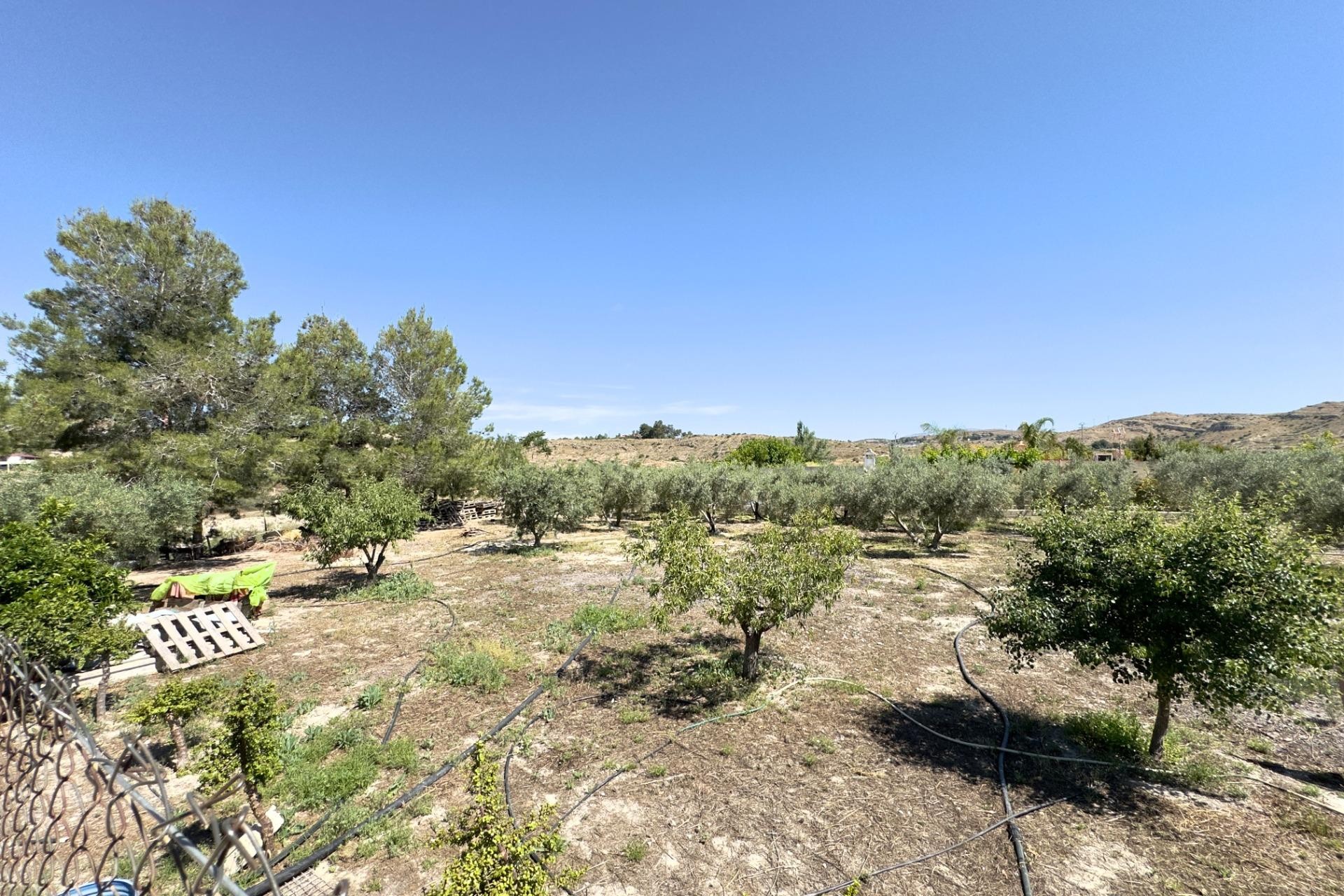Reventa - Villa - Aspe - Pedanías Este
