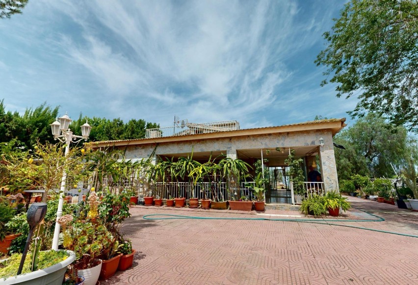 Reventa - Villa - Aspe pedanias - Pedanías Oeste